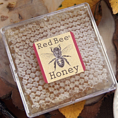 RED BEE HONEYCOMB / Red Bee Honey / Connecticut