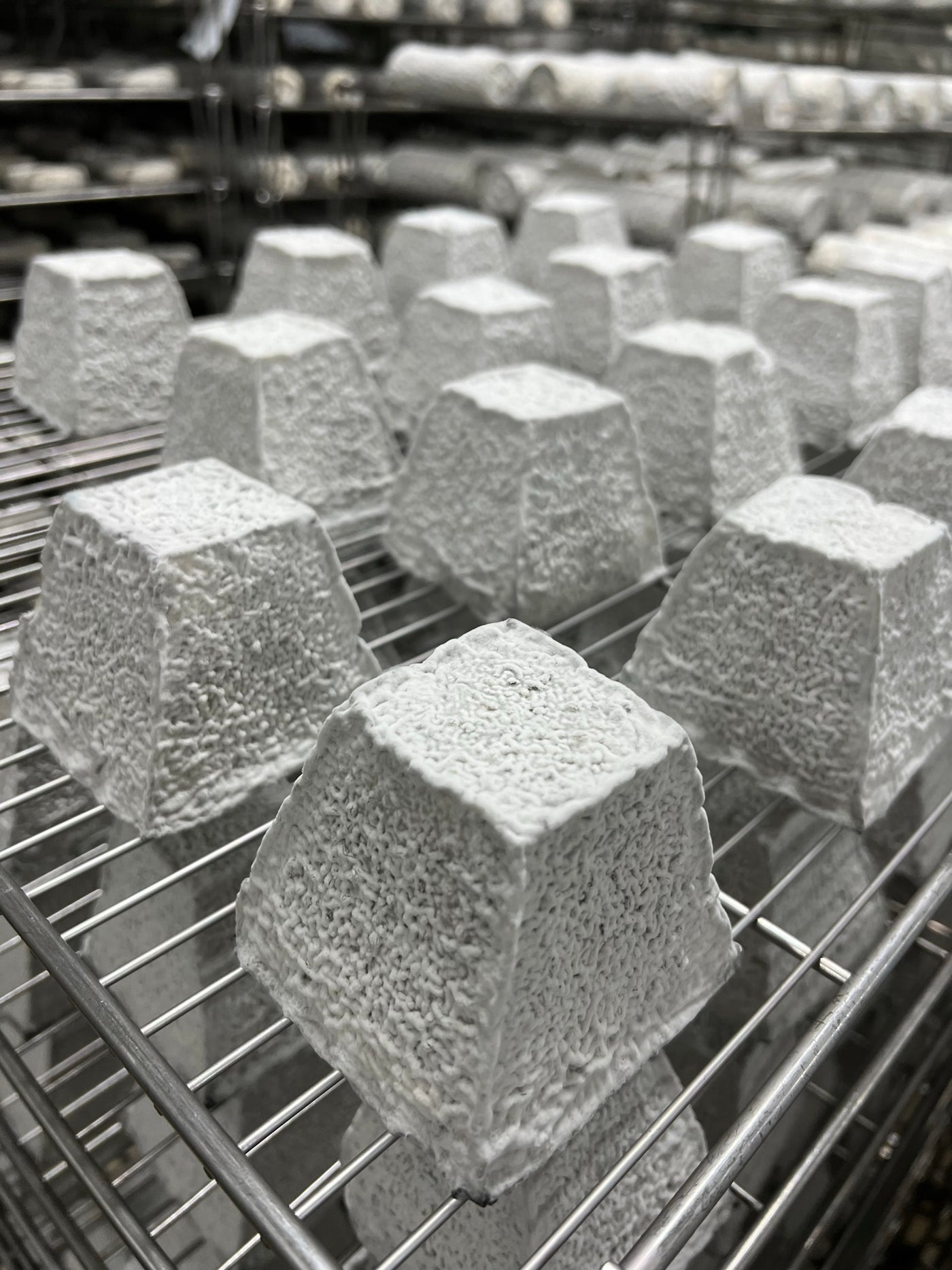 Pieces of cheese aging on metal wire racks.  