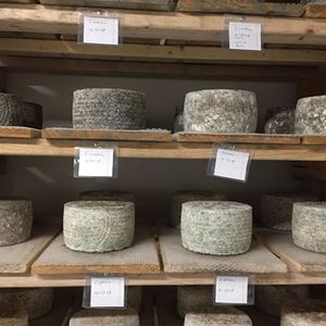 Image of wheels of cheese aging on wood racks.  