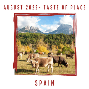 Aug 2022 Cheese Club Video Link - Spain