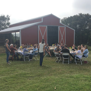 Image of a cheese tasting at Bee Tree Farm