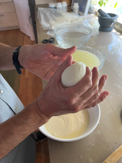John Antonelli making fresh mozzarella