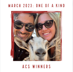 March 2023 Cheese Club Video Link - ACS Winners