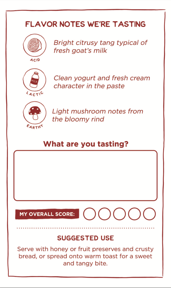 Tasting card back