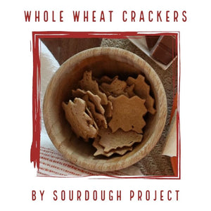 Video Link of Whole Wheat Crackers by Sourdough Project