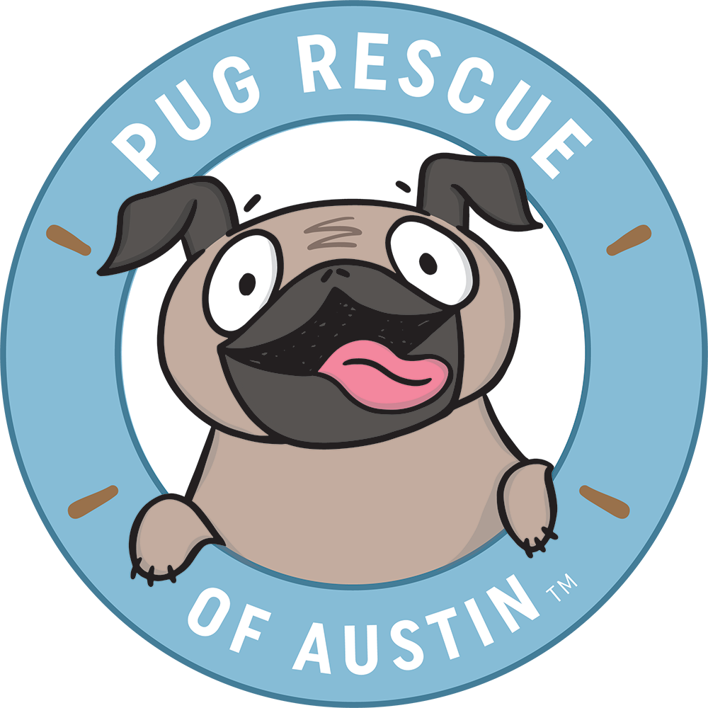 Charitable Cheese! Cheese 101 Tasting Benefiting Pug Rescue of Austin (South Lamar)