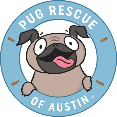 Charitable Cheese! Cheese 101 Tasting Benefiting Pug Rescue of Austin (South Lamar)