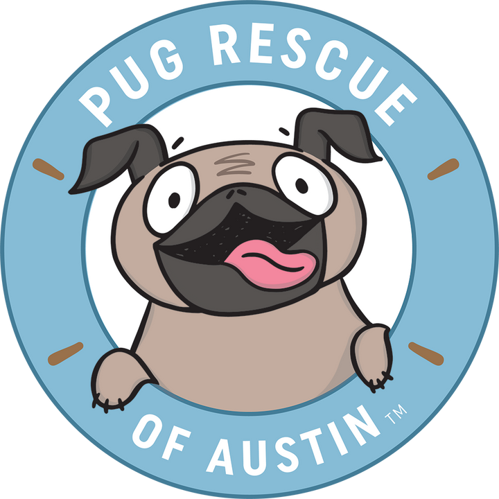 Instagram Austin French Bulldog Rescue Charitable Cheese! Cheese