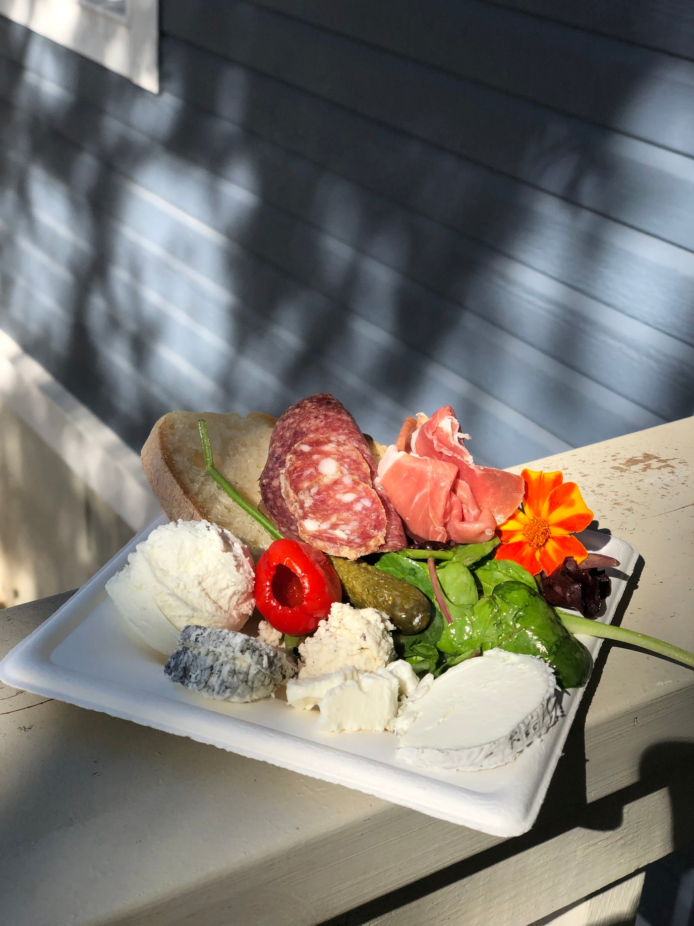 Artisan Austin Bus Tour with John and Kendall Antonelli