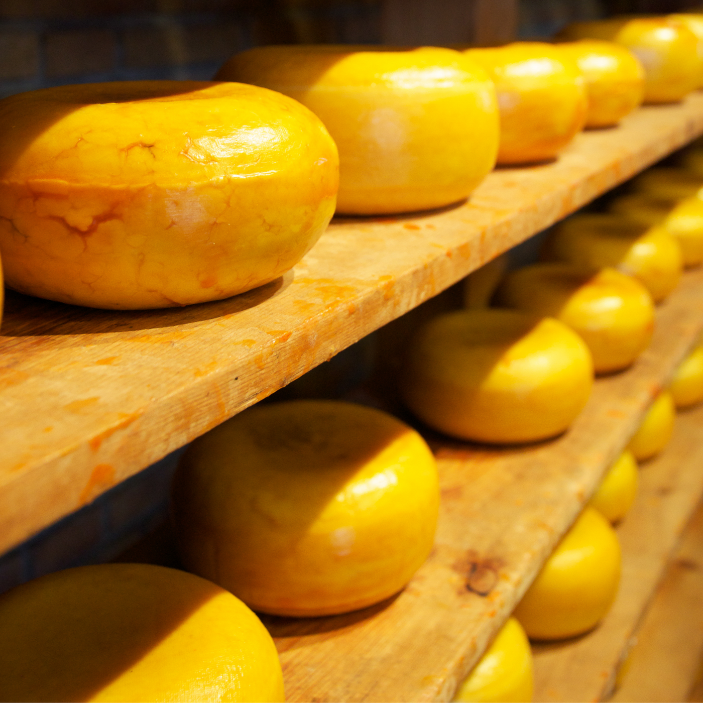 Cheese-y Deep Dive: Goudas (In Person)