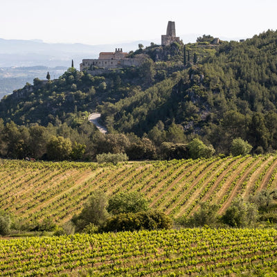 Food and Wines from Spain with Murcia al Vino P.D.O Cheese & Ribera Y Rueda
