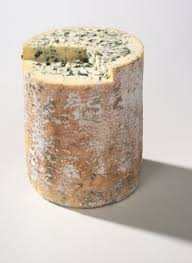 Blue cheese cylinder from Herve Mons, Fourme d'Ambert, France.